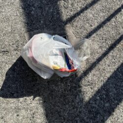 清掃活動：投げ釣り失敗