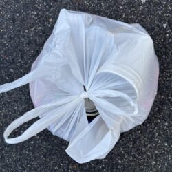 清掃活動：おチヌさんで釣り納