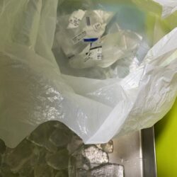 清掃活動：ティップランでイカ三昧