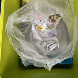 清掃活動：三重ティップラン