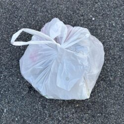 清掃活動：アジングで、でかアジゲット