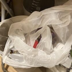 清掃活動：グレ狙いで良型揃い！