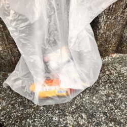 清掃活動：ショアジギングでサバ