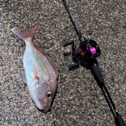 しまなみ海道でのメバリング