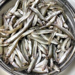 暖房船／諏訪湖ワカサギ釣り！