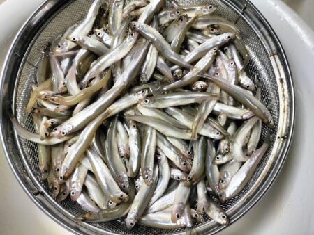 暖房船／諏訪湖ワカサギ釣り！