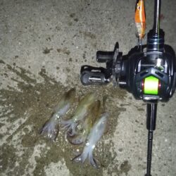 今日はお試し釣行！