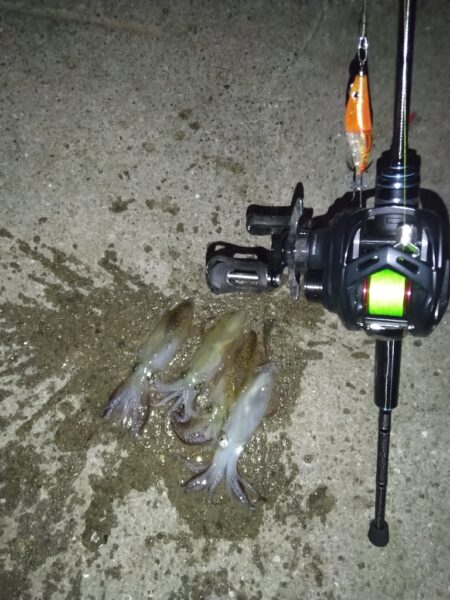 今日はお試し釣行！