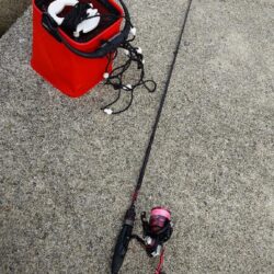 日中のライトゲーム、穴釣り