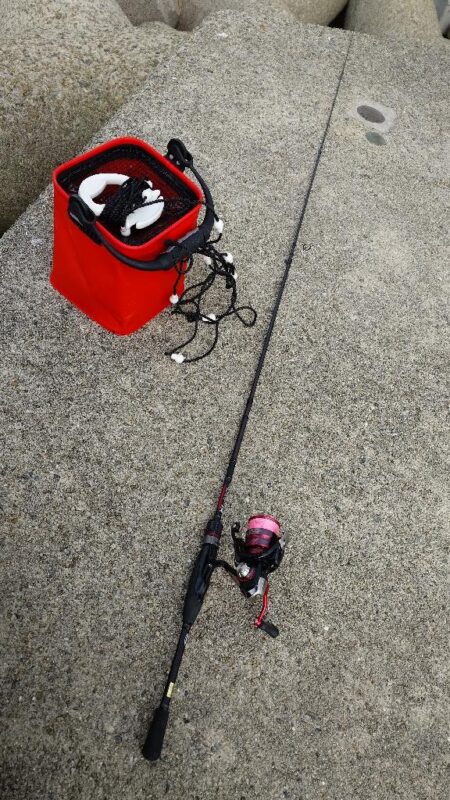 日中のライトゲーム、穴釣り