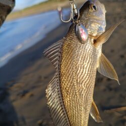 風も波も穏やかな湘南