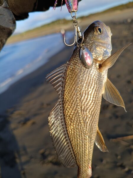 風も波も穏やかな湘南