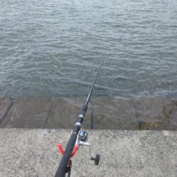 初釣りからのリベンジ