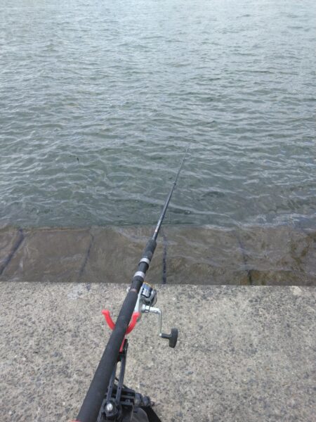 初釣りからのリベンジ