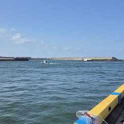 3回ヒットで楽しかったが残念、、、