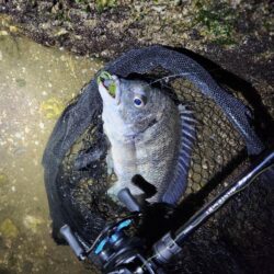 しごおわ冬チニング