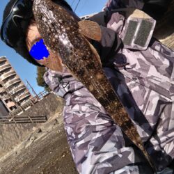 極寒の中、マゴチが釣れました。