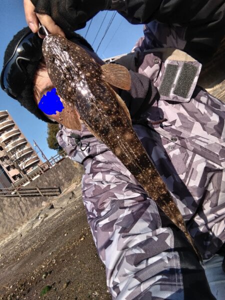 極寒の中、マゴチが釣れました。