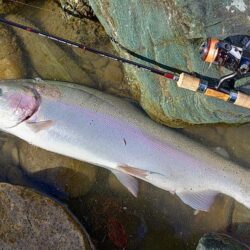 雪降る天竜川でがんばる ～天竜川ルアーフラ…