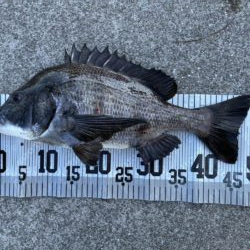 イチノ兄弟、釣果！