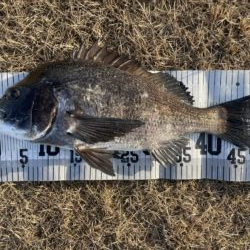 イチノ兄弟、釣果！