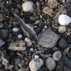 遠征2日目（釣り納め）