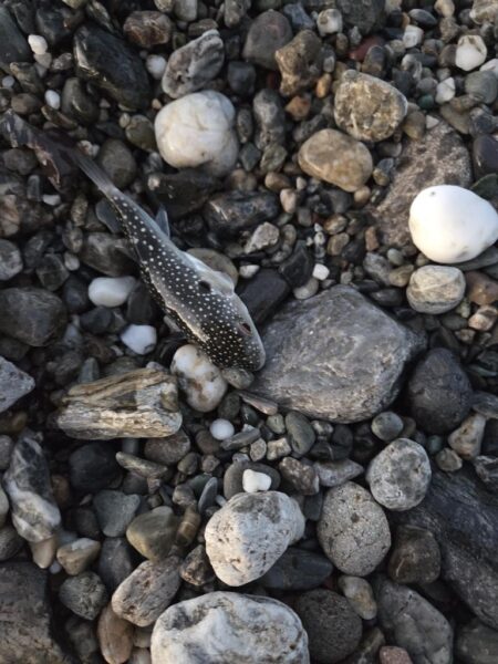 遠征2日目（釣り納め）