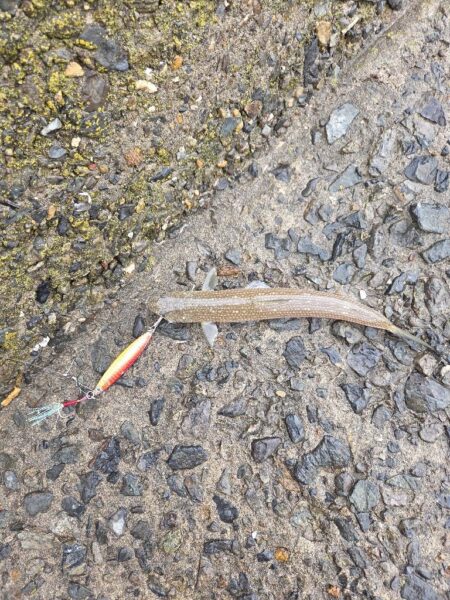 遠征3日目（釣り初め）