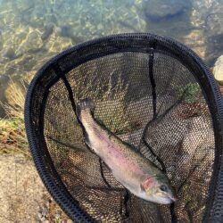 フィッシングパーク高島の泉