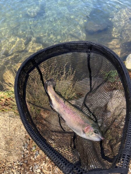 フィッシングパーク高島の泉