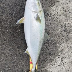 新年早々に記録更新‼️