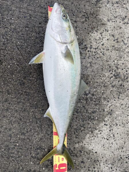 新年早々に記録更新‼️