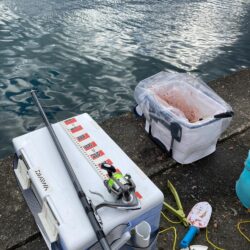 初単独フカセ釣り