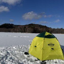 氷上サクラ咲く 2nd