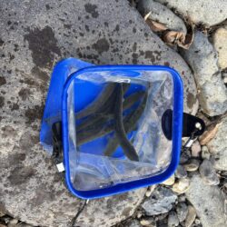 アマゴ管釣り第2戦〜初釣り・小柿渓谷放流釣…