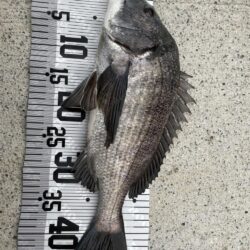 イチノ兄弟、釣果！