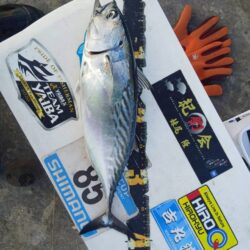 和歌山市江(吉丸渡船)で初釣り