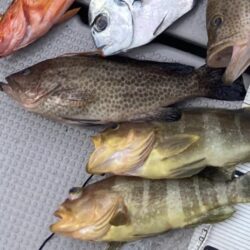 五目タイラバで目標達成