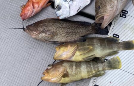 五目タイラバで目標達成