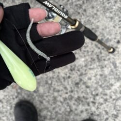 懲りずにフロートアジング