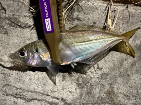 そろそろ終わり?