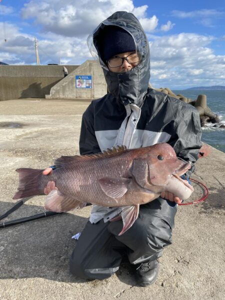 念願のコブダイ