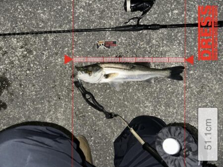 寒いのにニ投目、三投目でキャッチ！