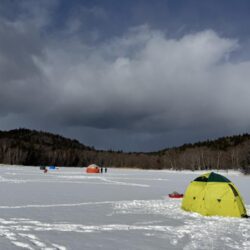 今年も開花しました！サクラとワカサギ 釣り