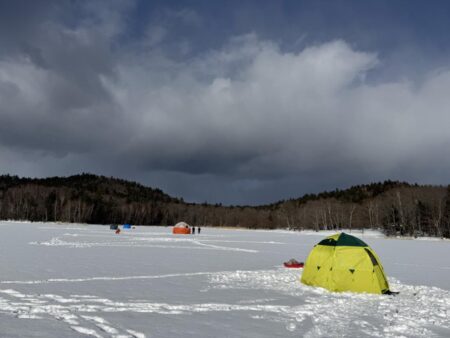 今年も開花しました！サクラとワカサギ 釣り