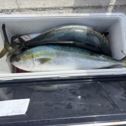 伊勢湾ジギング