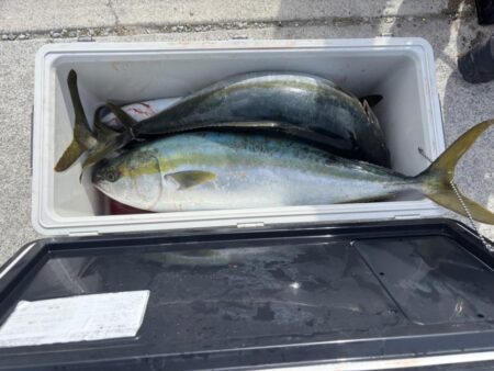 伊勢湾ジギング