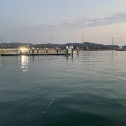 カマスの干物が食べたくて