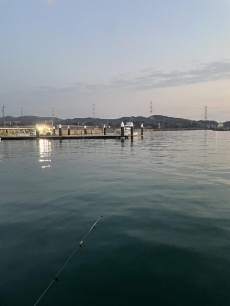 カマスの干物が食べたくて