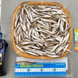 入鹿池ワカサギ釣り！（貸しボート）